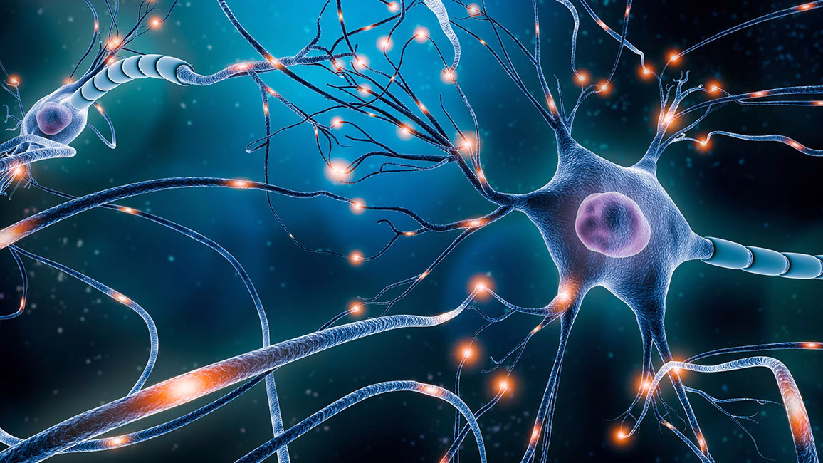 Link to 'EPNA 2025 Award ceremony at NEUROETHICS 2025 conference | April 18th 2026'