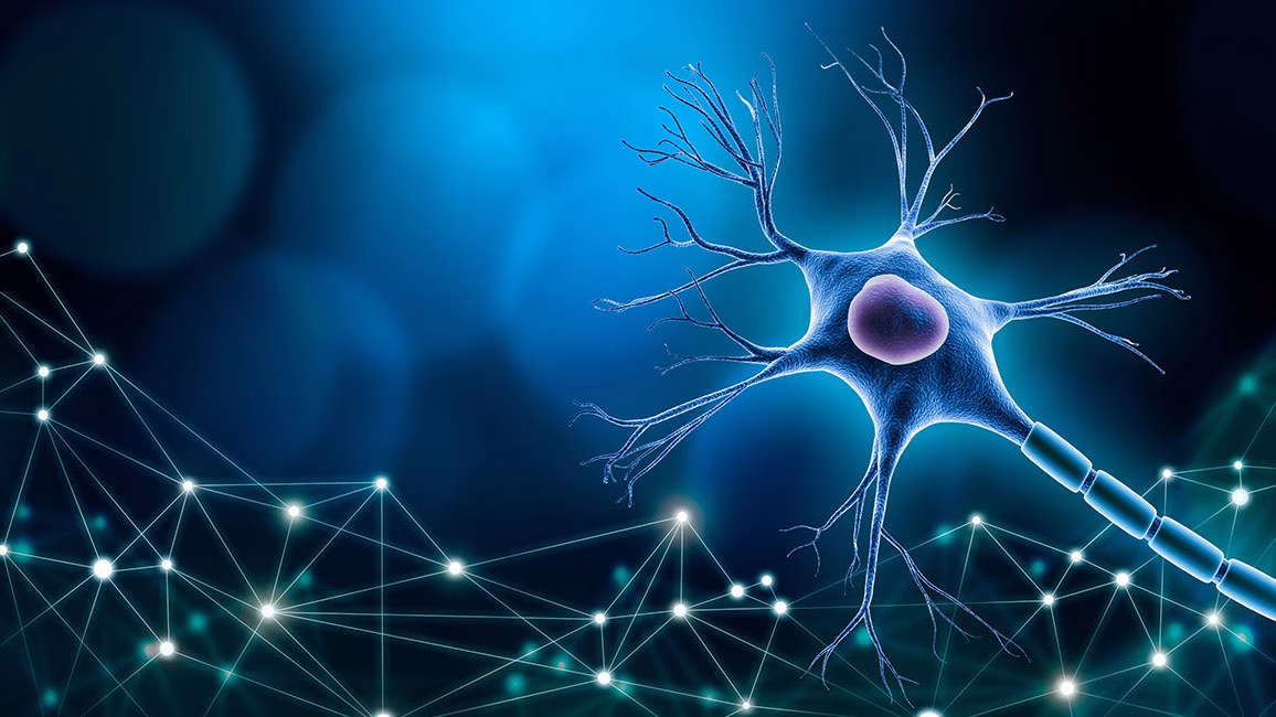 Link to 'The EPNA 2025 goes to Dr. Linbi Cai from the Brain Research Institute, University of Zurich, Switzerland'
