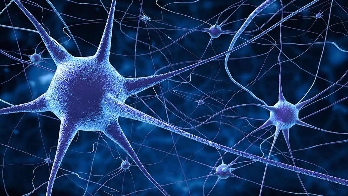 Link to 'Project GDNF UpReg: Personalising the Path to Mental Healthcare'