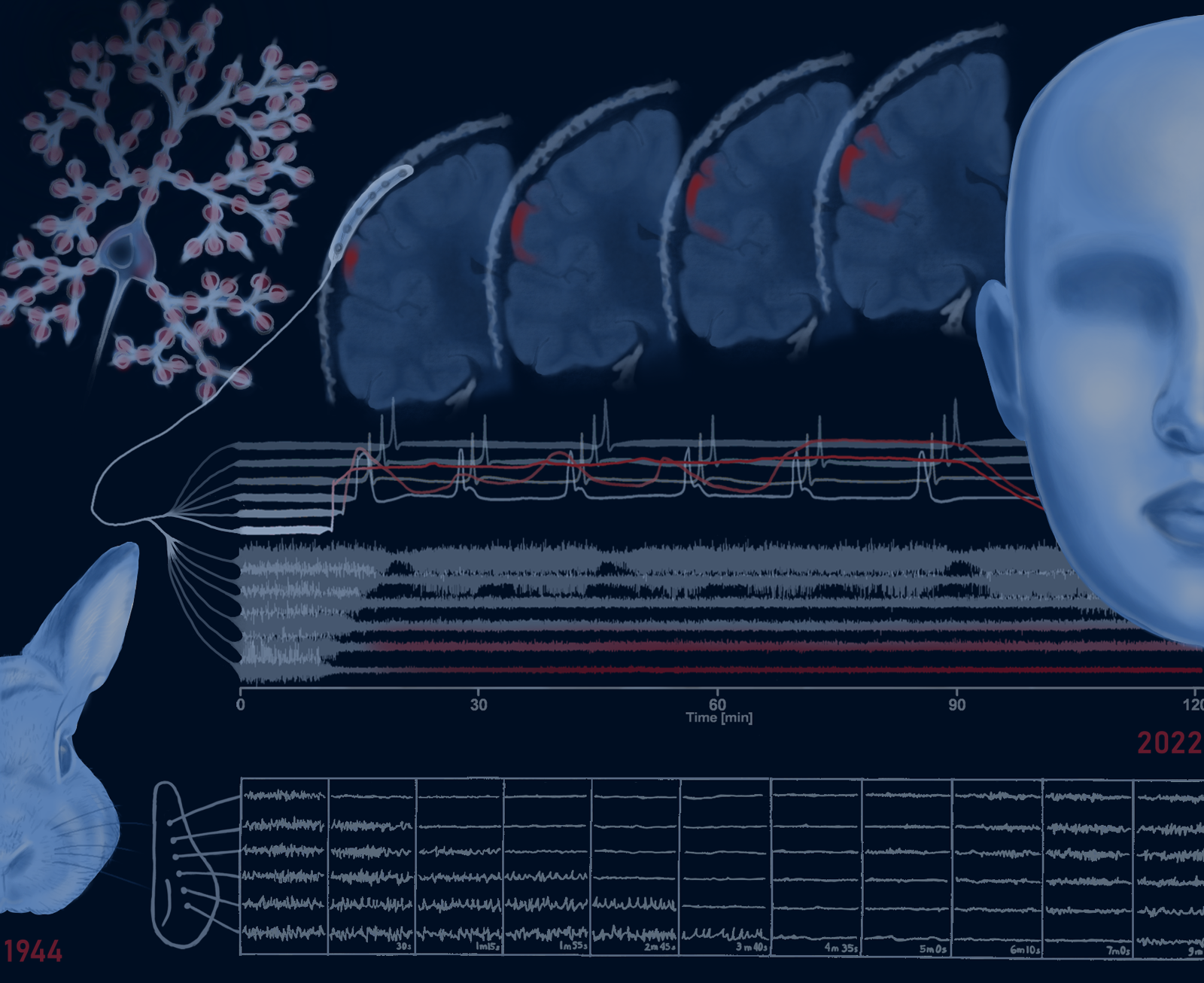 Composite illustration with a neuron, brain slices, waveform graphs, a stylized human face, and a rabbit head.