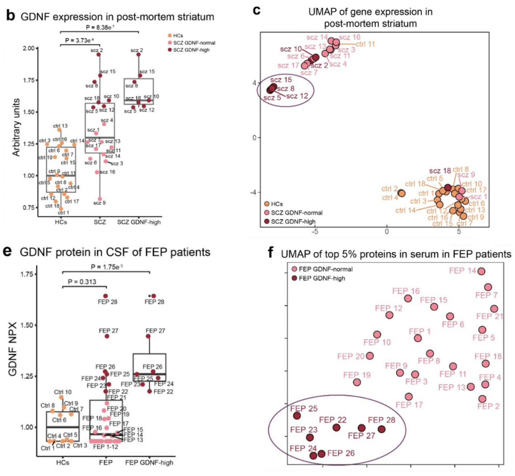 This graphic, adapted from the consortium’s pre-print research paper, illustrates their scientific journey from a laboratory discovery to a real-world medical tool.